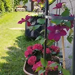 Penzion U Helferu Guest house Libun