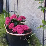 Guest house Penzion U Helferu 3*