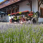 Penzion U Helferu 3* Libun