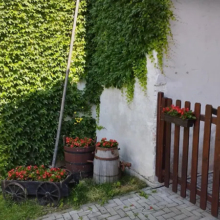 Guest house Penzion U Helferu Libun